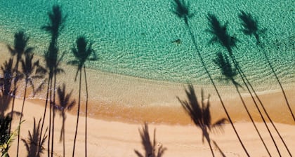 Legendary Estate 50 Steps to Maui’s Best Beach! New! 5 Bedroom, Pool With Slide!