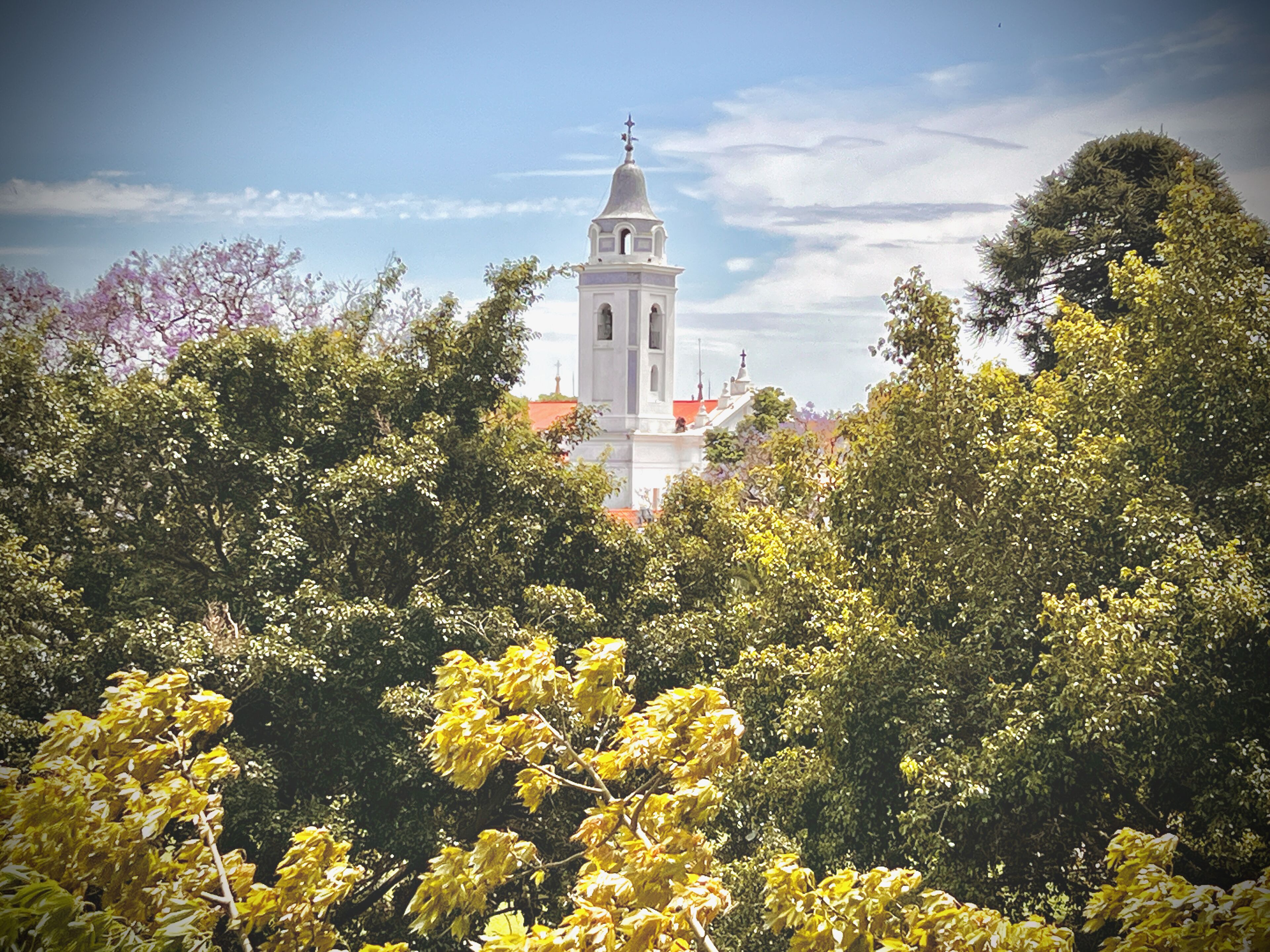 A church with a bell tower surrounded by dense foliage.