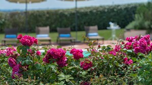 A garden with pink flowers and outdoor seating with umbrellas.