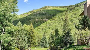 A mountain view with a road leading to a building surrounded by trees. - Vail Home/Hot Tub On Bus Line (Vail)