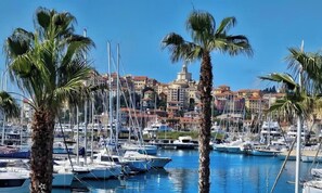 A marina with boats docked, palm trees, and a backdrop of buildings.