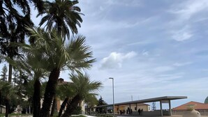 Une place publique agrémentée d’une fontaine circulaire, de palmiers et d’un bâtiment doté d’un toit plat.