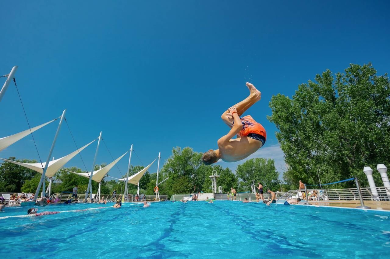 A person diving into a swimming pool with a clear blue sky and trees in the background.