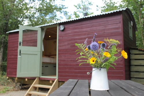 The Red Kite Shepherd's Hut with Private Hot Tub in Ancient Woodland