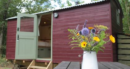 The Red Kite Shepherd's Hut with Private Hot Tub in Ancient Woodland