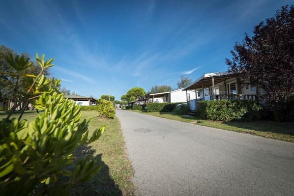 Une rue résidentielle bordée de maisons des deux côtés, un ciel dégagé et de la verdure.