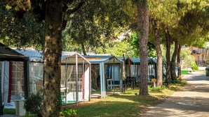 A row of mobile homes with a dirt path leading to them, surrounded by trees.