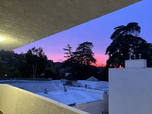 Property grounds - Cozy Sanctuary in LA / Sherman Oaks (Los Angeles)