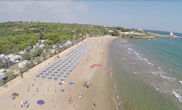 Una playa con hileras de sombrillas y sillas, una orilla arenosa y un fondo de vegetación y edificios.