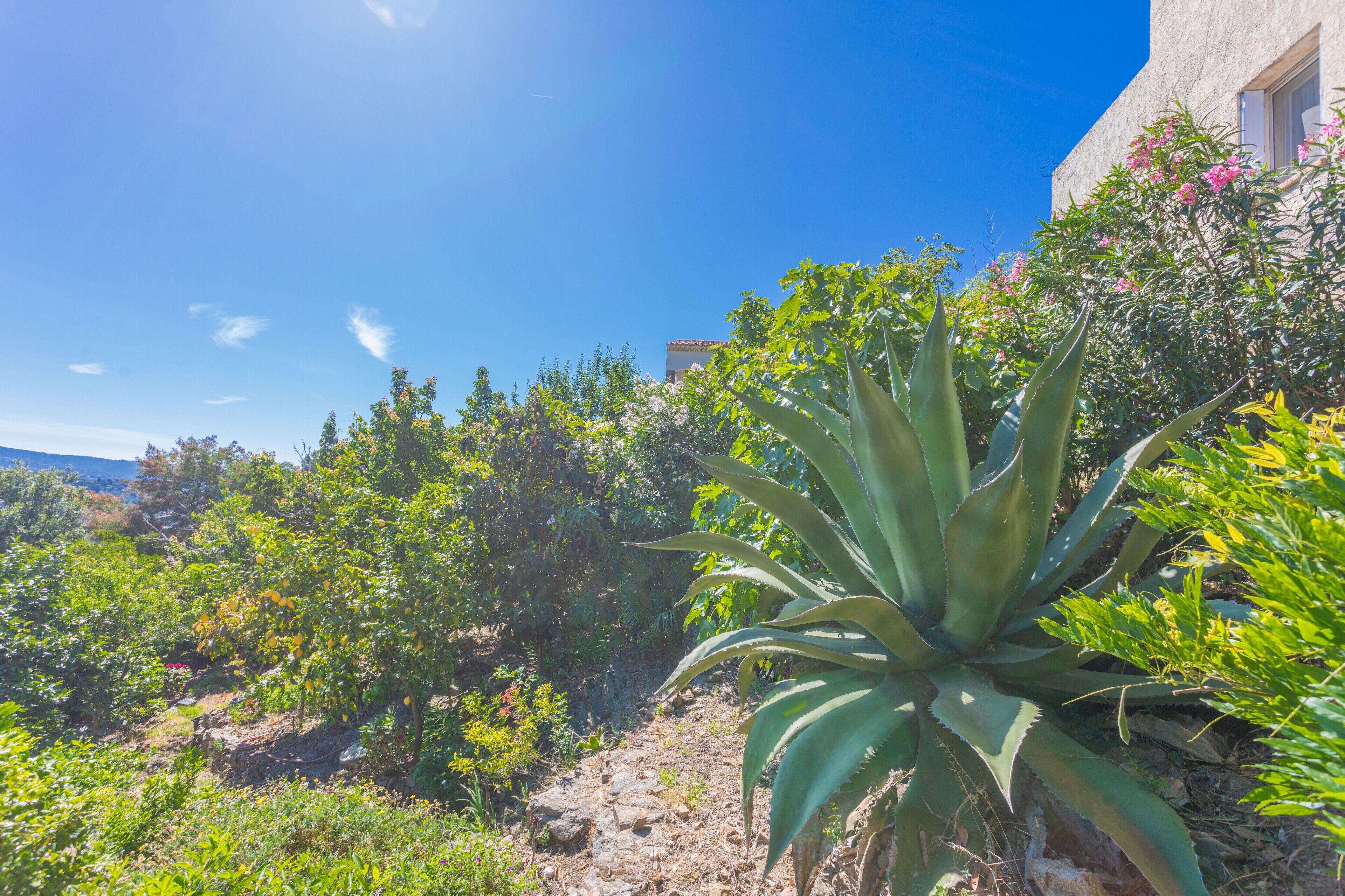 Parco della struttura