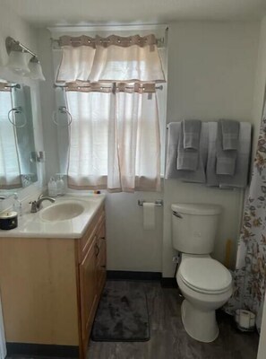 SĂšche-cheveux, serviettes fournies, shampoing, papier toilette