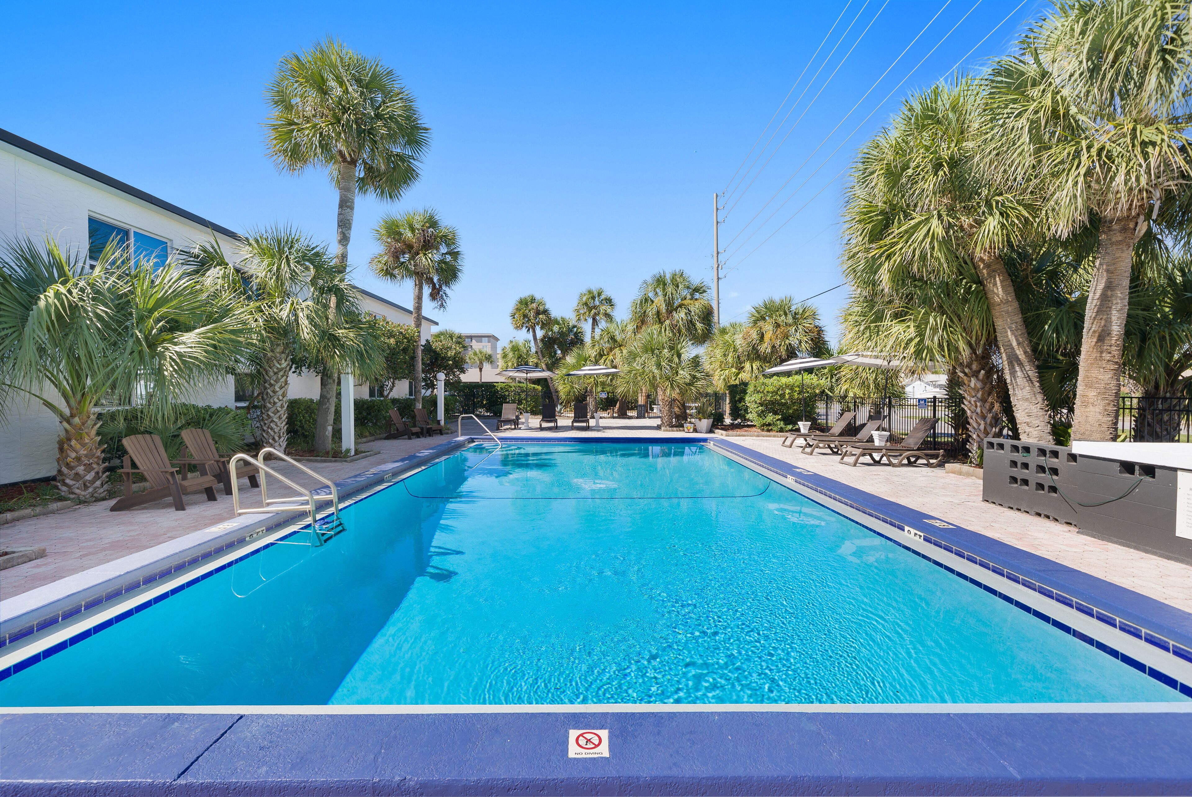 A swimming pool with lounge chairs and palm trees.