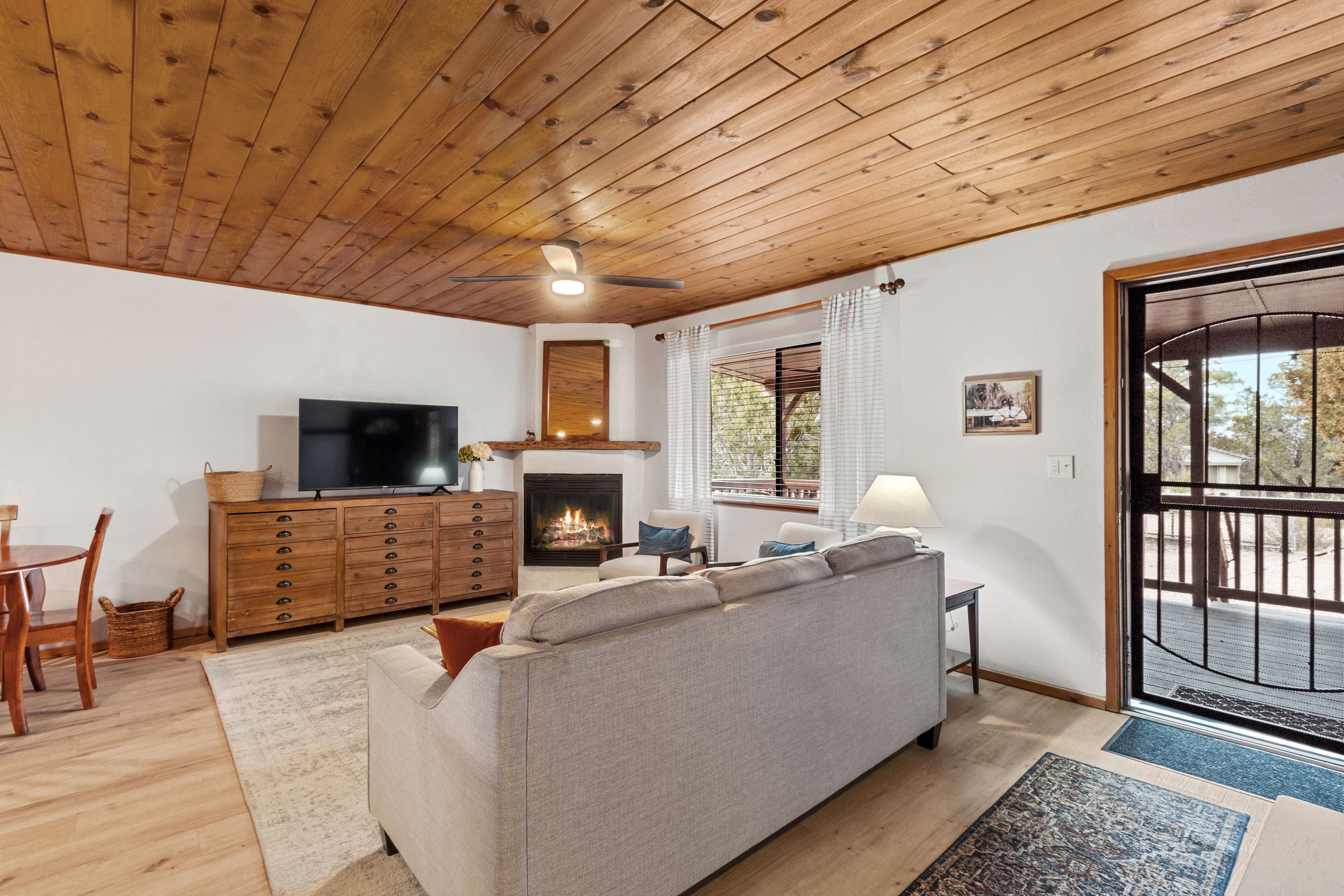 Smart TV, fireplace, books