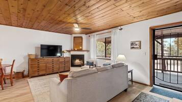 Smart TV, fireplace, books