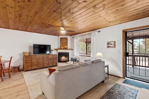 Smart TV, fireplace, books