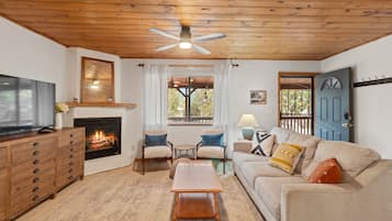 Smart TV, fireplace, books
