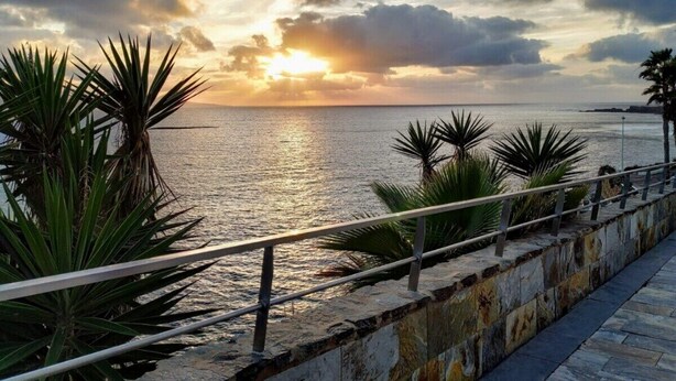 A coastal walkway with a railing, palm trees, and a sunset over the sea.