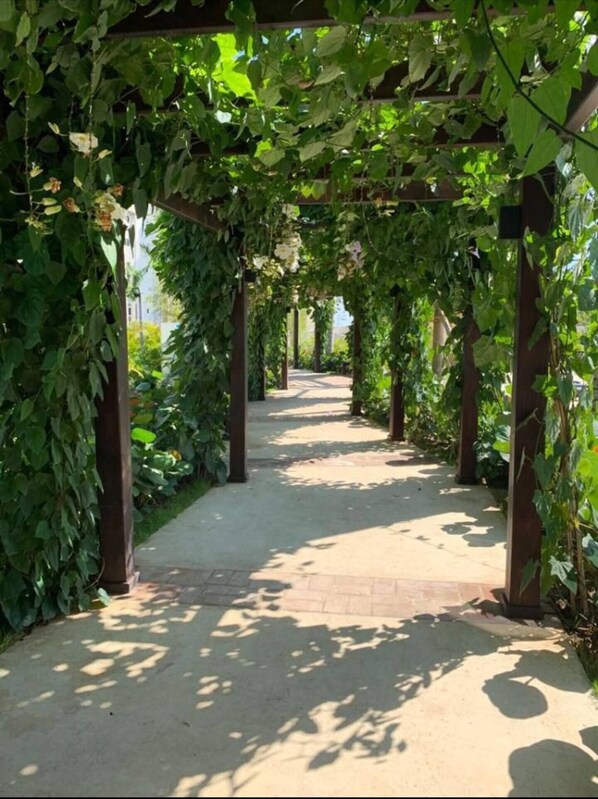 Enceinte de l’hébergement