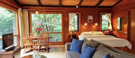 Smart TV, chimenea y reproductor de DVD