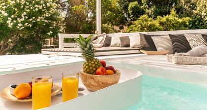 Ferienwohnung in einem Hotel "Ow Andros Luxury Suites 1" mit Bergblick, privater Terrasse und WLAN