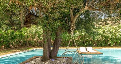 Apartment In A Hotel "Ow Andros Luxury Suites 1" with Mountain View, Private Terrace & Wi-Fi