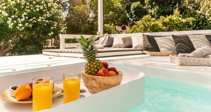 Apartment In A Hotel "Ow Andros Luxury Suites 1" with Mountain View, Private Terrace & Wi-Fi