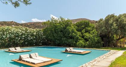 Apartment In A Hotel "Ow Andros Luxury Suites 3" with Mountain View, Private Terrace & Wi-Fi