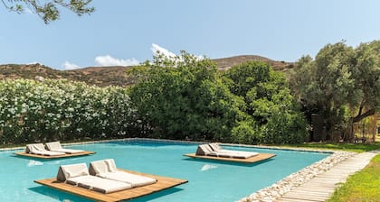 Appartement dans un hĂŽtel "Ow Andros Luxury Suites 3" avec vue sur montagne, terrasse et Wi-Fi