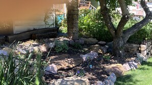 A garden with a stone border, a tree, and a small patch of grass. - Large house centrally located (Colorado Springs)