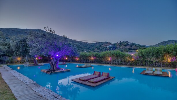 Ein Pool mit Liegebereichen und ein Baum mit violetter Beleuchtung.