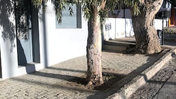 Detalle exterior