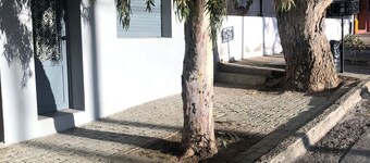 Alquiler Temporario. Perla Negra