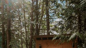 A small wooden cabin with two doors, surrounded by tall trees and a dirt ground. - The Stonewater (Madeira Park)