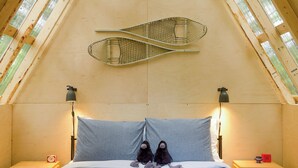A bedroom with a sloped ceiling, a bed with striped bedding, two nightstands, and a hammock-like structure hanging from the ceiling. - The Stonewater (Madeira Park)