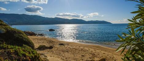 Beach nearby, fishing