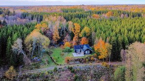 Una casa envoltada per un bosc de fullatge tardà.