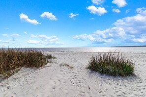 Playa en los alrededores