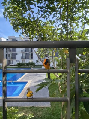 Property grounds - Hermoso Departamento Familiar en Playa del Carmen 🫶🏼 (Playa del Carmen)