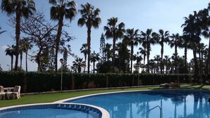 Ein Pool mit geschwungener Kante, umgeben von Palmen und einer Hecke.