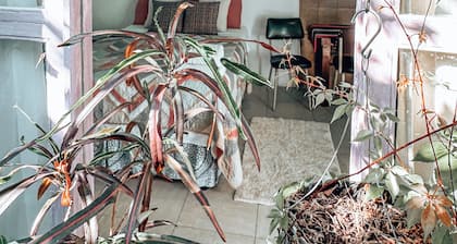 Habitación Privada Nicte, con A/C, Baño privado.