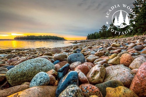 Popplestone Point-Nestled in woods next to Acadia!