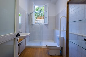 Shower, hair dryer, towels