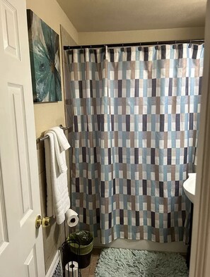 Hair dryer, towels, soap, shampoo