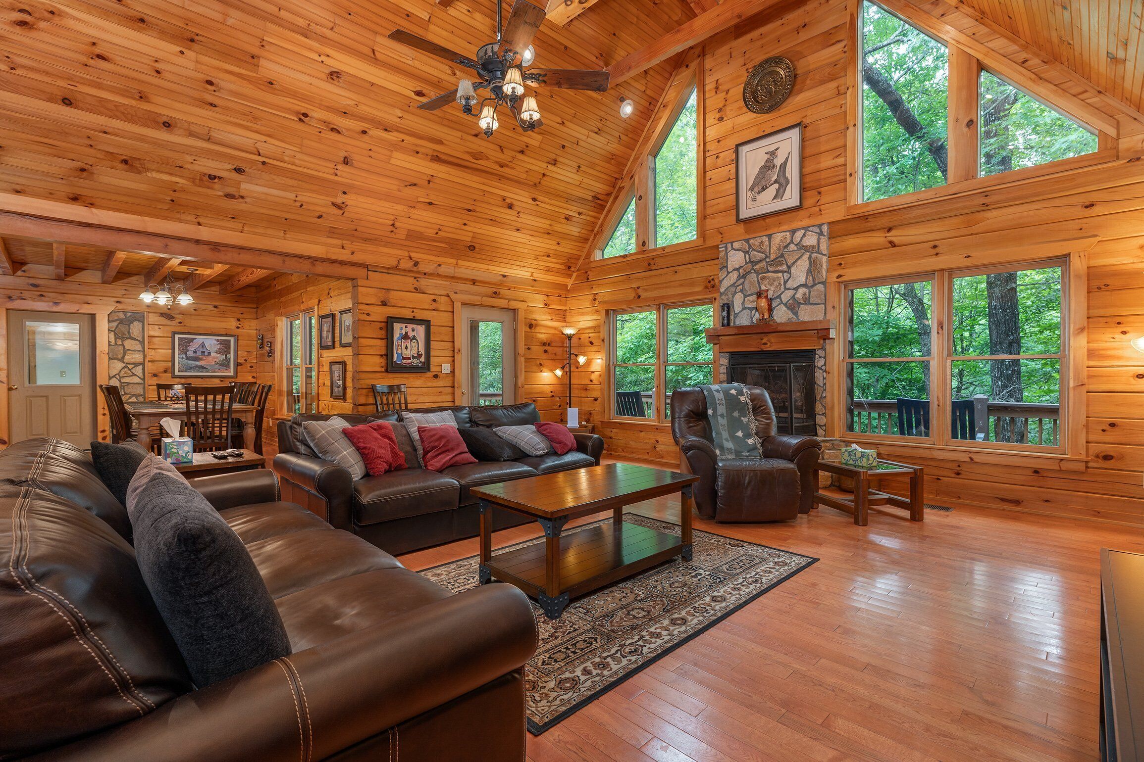 Smart TV, chimenea y libros 