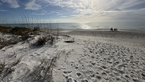 A beach with footprints and sparse vegetation. - 2 Bedroom Longboat Key Beachside Paradise. Steps from the Beach! (Longboat Key)