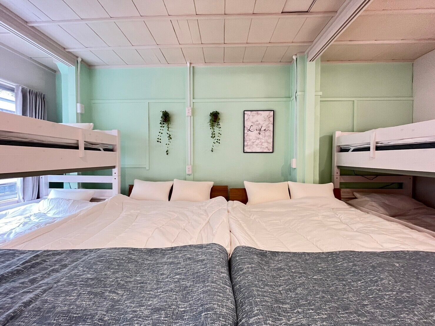 Une chambre avec des lits superposés, un grand lit et une plante fixée au mur.