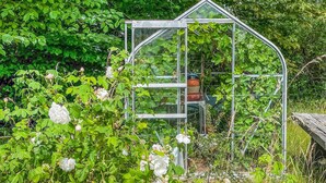 A greenhouse structure surrounded by lush greenery and white flowers. - 2 bedroom nice home in Fjälkinge (Fjälkinge)