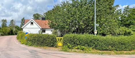 A rural road with a white house, dense greenery, and a yellow traffic sign.