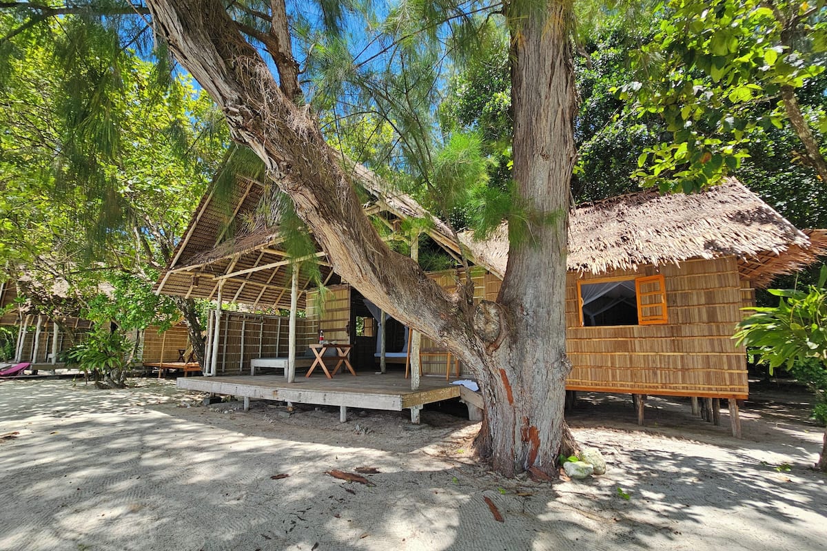 A rustic wooden cabin with a thatched roof, surrounded by trees and a sandy ground.