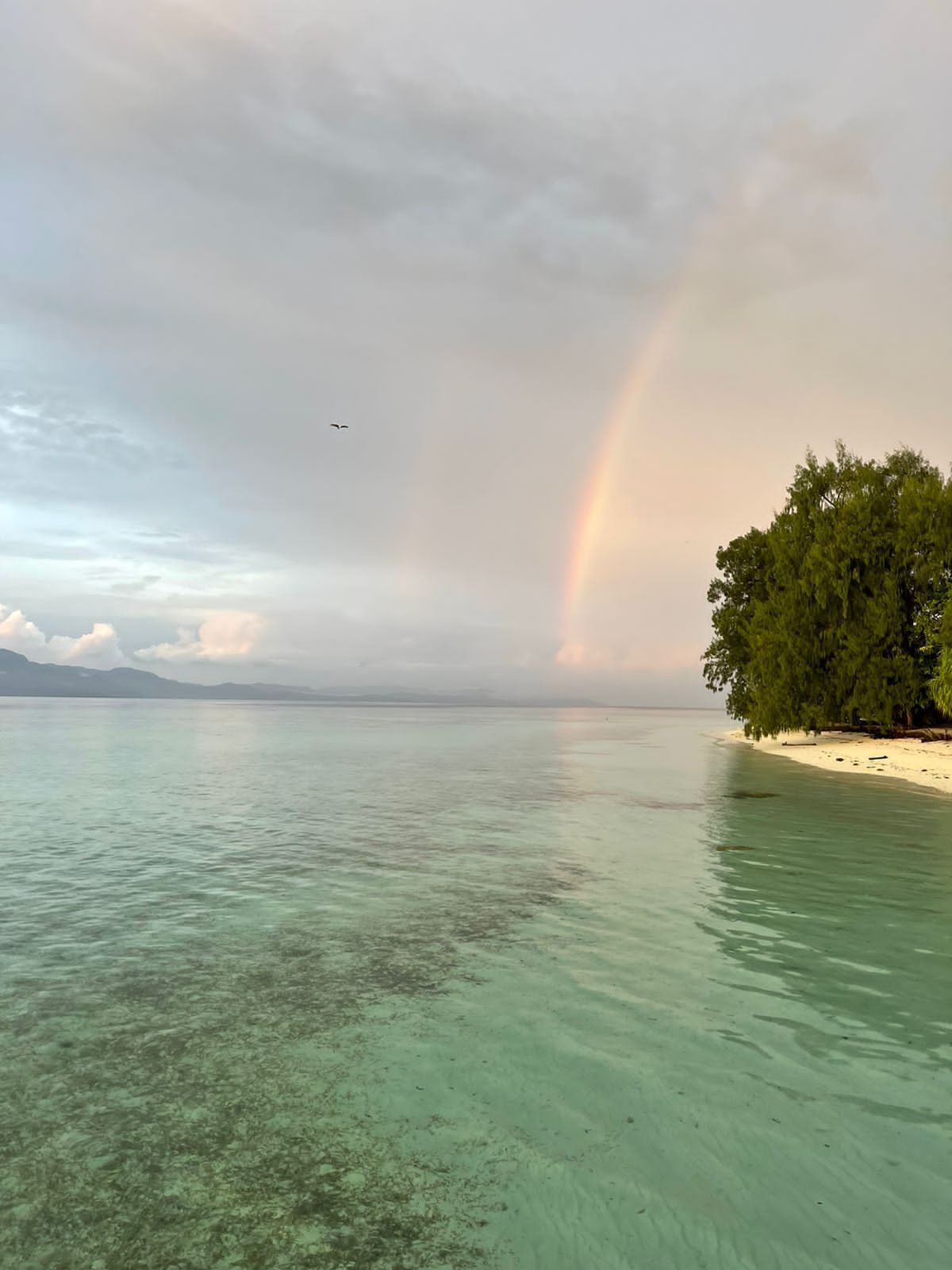 Une plage à l’eau turquoise et limpide, une côte bordée d’arbres et un arc-en-ciel dans le ciel.